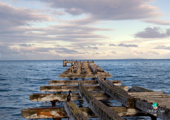 De paseo en Punta&nbsp;Arenas