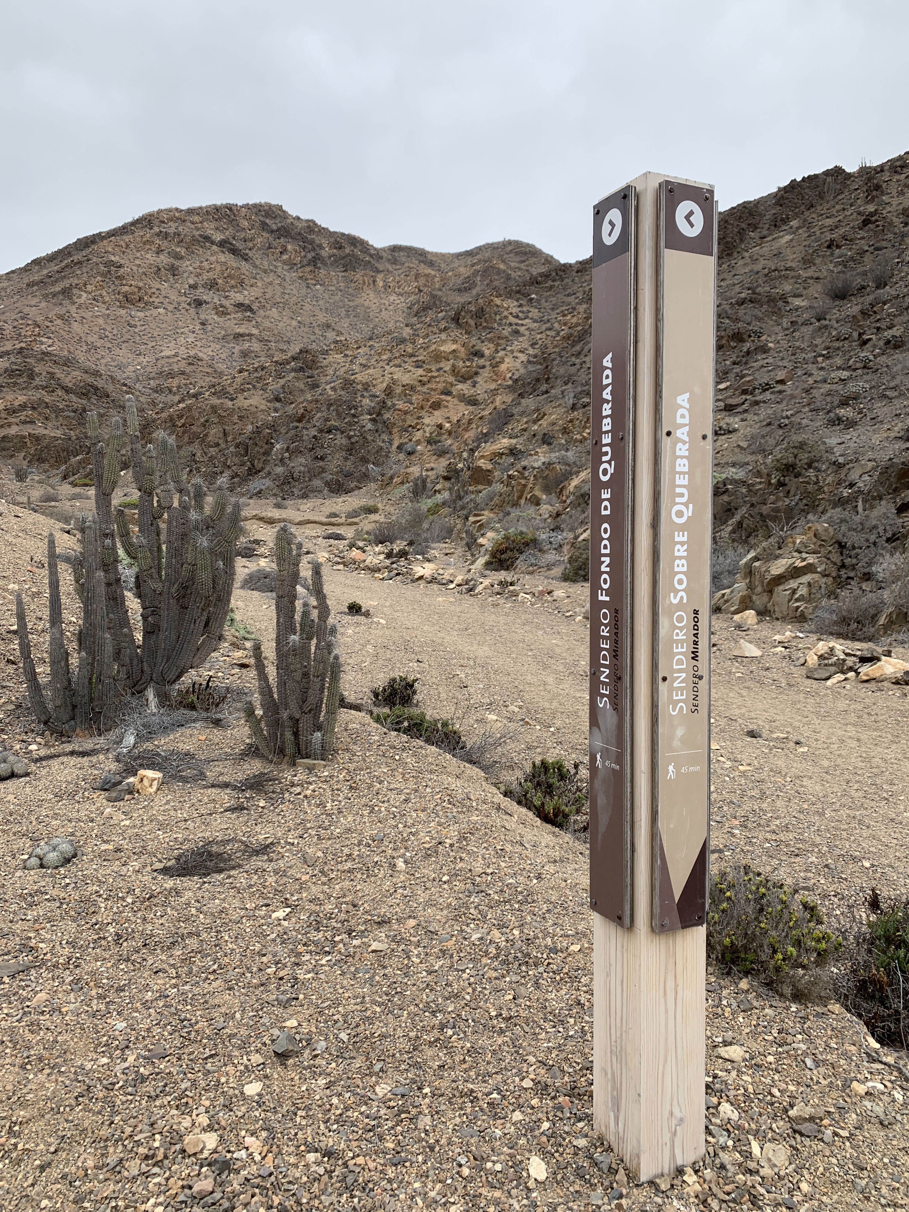 Sendero Agua los Sapos